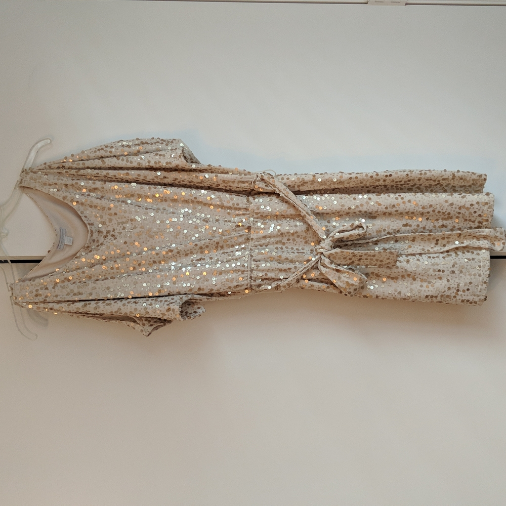 New Years eve gold dress Large